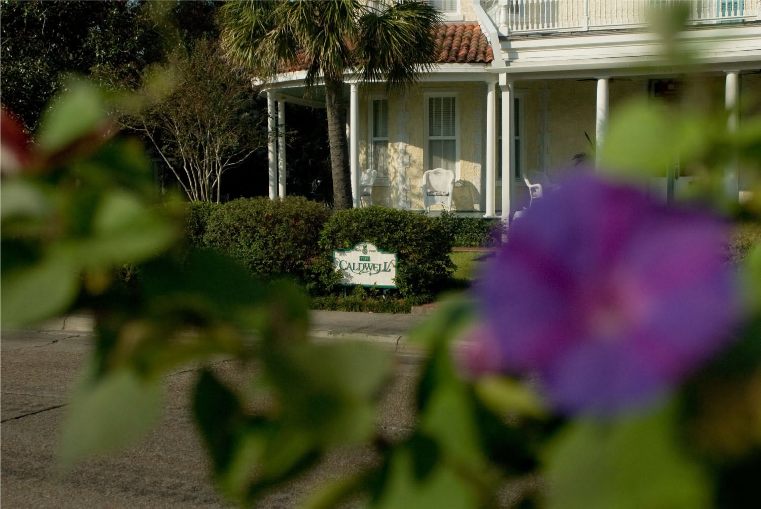 The Caldwell House porch and garden sign in late-afternoon light, glimpsed past blooming morning glories